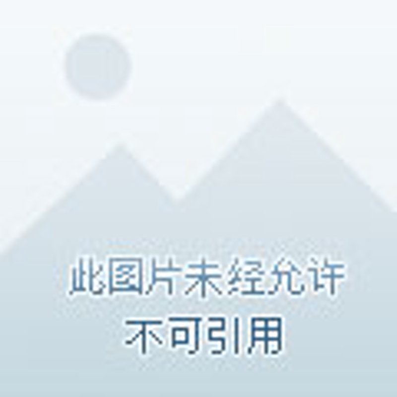 食堂承包：提升企业效率的新篇章